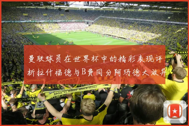 曼联球员在世界杯中的精彩表现评析拉什福德与B费同分阿玛德大放异彩