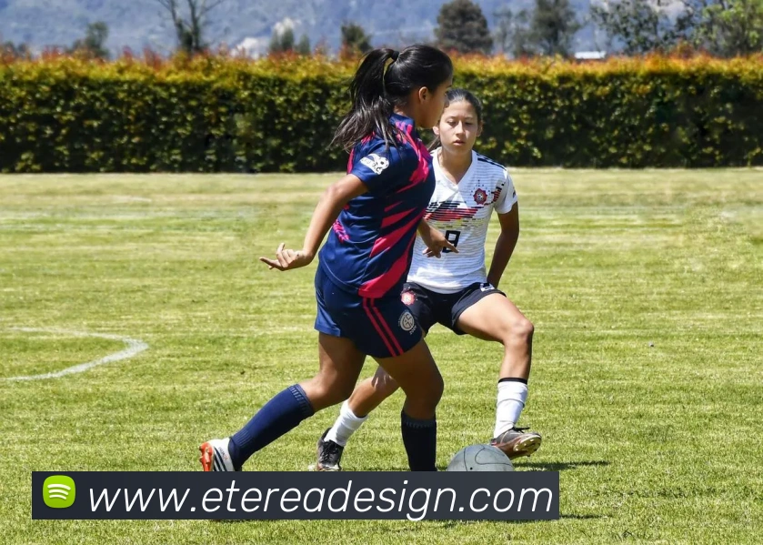 奖项证书